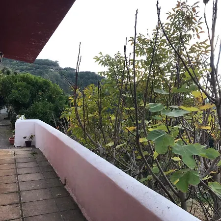 Nyaraló Casa Pety